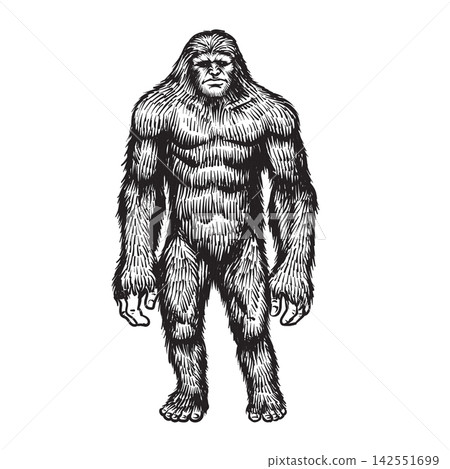 Bigfoot hand drawn vintage Bigfoot hand drawn vintage 142551699