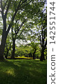 Lush park 142551744
