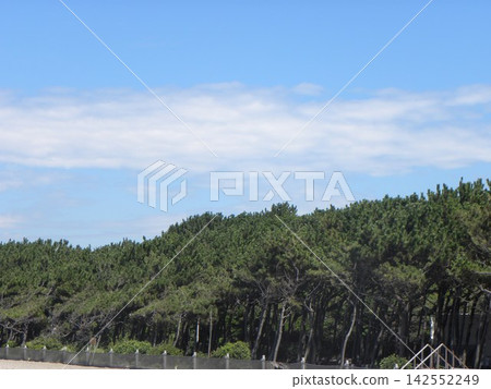 伊納格海岸上空,藍天白雲。 伊納格海岸上空,藍天白雲。 142552249