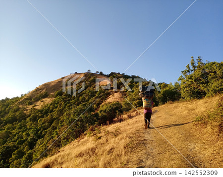 A hill-tribe porter carries a tourist belongings up on the mountain in Thailand 142552309