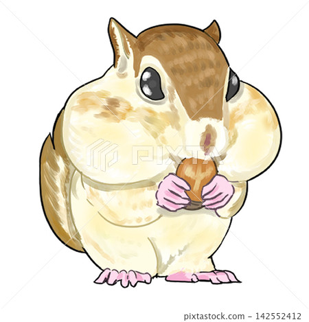 Chipmunk Chipmunk 142552412