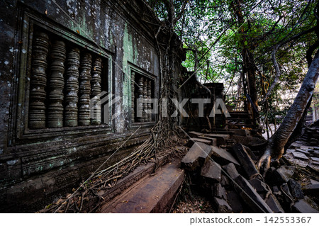 Cambodia, Beng Mealea, Ruins Cambodia, Beng Mealea, Ruins 142553367