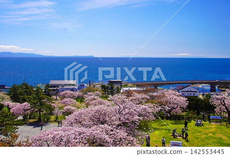 從北海道南部的松前城眺望 從北海道南部的松前城眺望 142553445