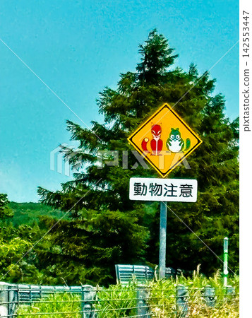 北海道高速公路標誌牌,上面畫著一隻紅狐狸和一隻綠貉。 北海道高速公路標誌牌,上面畫著一隻紅狐狸和一隻綠貉。 142553447