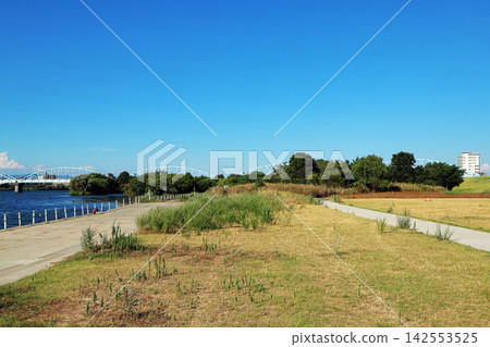 淀川河床(大阪) 淀川河床(大阪) 142553525