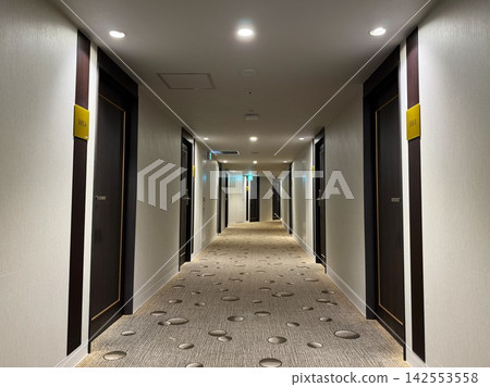 豪華飯店客房走廊 豪華飯店客房走廊 142553558