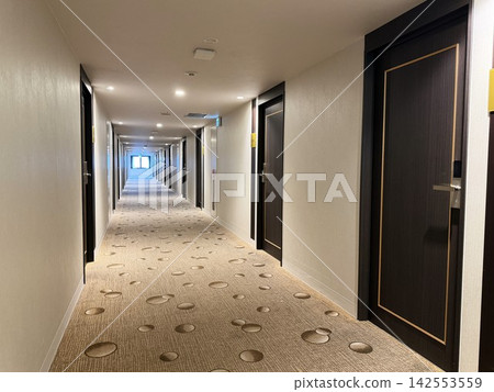 Corridor of a luxury hotel guest room Corridor of a luxury hotel guest room 142553559