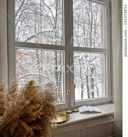 Snow Covered Trees Viewed Through Large Cozy Window Snow Covered Trees Viewed Through Large Cozy Window 142553653