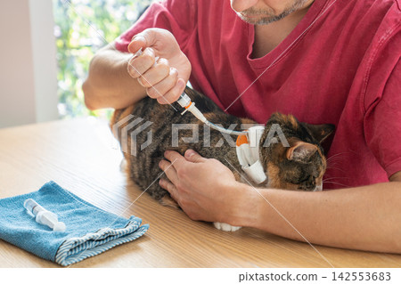 Feeding and medicating cat through esophagostomy tube using syringe after gastrointestinal surgery Feeding and medicating cat through esophagostomy tube using syringe after gastrointestinal surgery 142553683