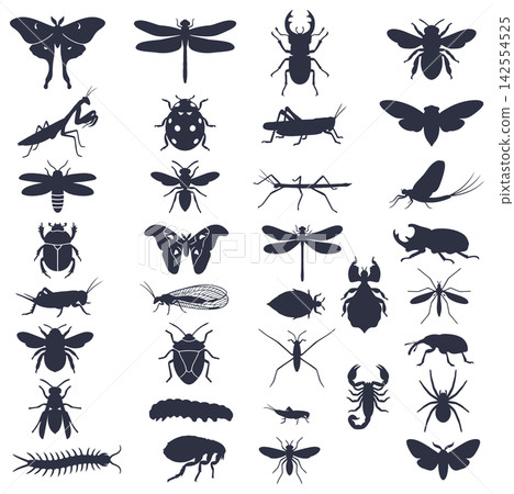 Flat vector set of various insect silhouettes showing beetles moths and many small flying garden creatures Flat vector set of various insect silhouettes showing beetles moths and many small flying garden creatures 142554525