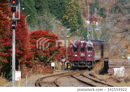 渡良瀨京國鐵道310型「渡良瀨II號」列車在其鼎盛時期,於秋季賞楓時節停靠京國線佐和里站。 渡良瀨京國鐵道310型「渡良瀨II號」列車在其鼎盛時期,於秋季賞楓時節停靠京國線佐和里站。 142554922