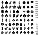Detailed assortment of black leaf and desert plant silhouettes for natural branding and creative design works 142555315