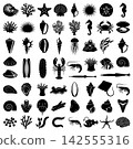 Detailed assortment of ocean creatures vector silhouettes featuring jellyfish seahorses and various deep sea life 142555316