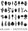 Detailed collection of assorted botanical plant silhouettes featuring various leaves and flowers in vector style 142555326