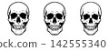 Detailed human skull anatomy collection featuring three distinct views for medical or creative graphic projects 142555340