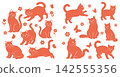 Cute hand drawn cat collection with butterfly and flower elements in simple graphic vector style 142555356