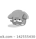 Upper looking dog 142555430