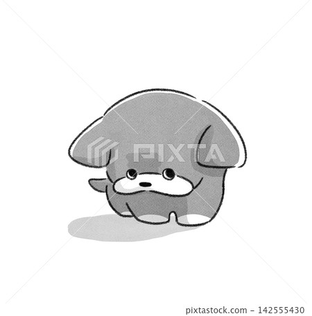Upper looking dog Upper looking dog 142555430