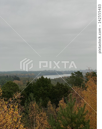 Autumn forest landscape with river view, soft foggy sky and calm natural scenery Autumn forest landscape with river view, soft foggy sky and calm natural scenery 142555483