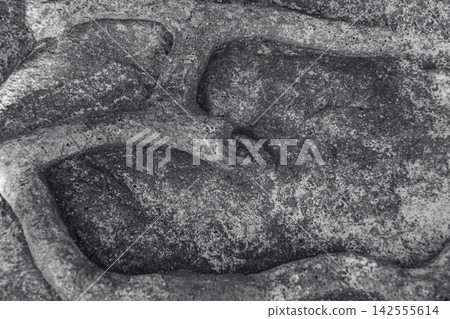 Black and white photo of Thalassinoides fossils. Black and white photo of Thalassinoides fossils. 142555614