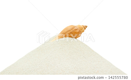 Seashell on sand dune isolated on white background, minimal beach concept Seashell on sand dune isolated on white background, minimal beach concept 142555780