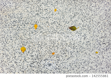 Terrazzo stone texture with scattered yellow autumn leaves Terrazzo stone texture with scattered yellow autumn leaves 142555861