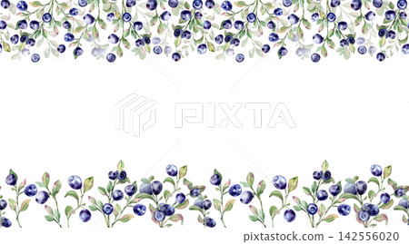 Fresh bilberries and blueberries on greenery branches watercolor seamless border isolated white. Horizontal repeat pattern with northern wild berry shrubs. Botanical edge design for menu cards. Fresh bilberries and blueberries on greenery branches watercolor seamless border isolated white. Horizontal repeat pattern with northern wild berry shrubs. Botanical edge design for menu cards. 142556020