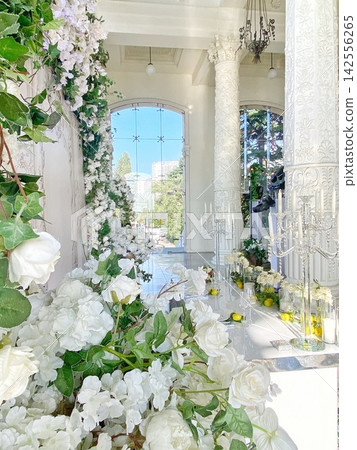 Elegant wedding reception interior with floral decor, bright daylight, luxurious romantic atmosphere Elegant wedding reception interior with floral decor, bright daylight, luxurious romantic atmosphere 142556265