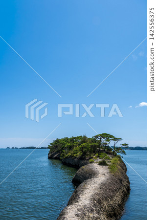 松島的馬背嶺是日本三大名勝之一,是延伸入海的天然碼頭。 松島的馬背嶺是日本三大名勝之一,是延伸入海的天然碼頭。 142556375