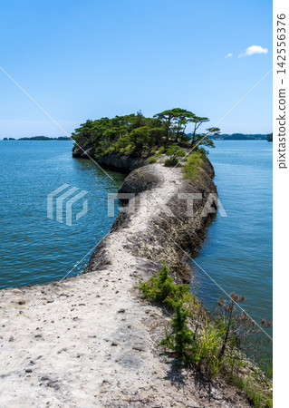 Matsushima's Horseback Ridge, one of Japan's three most scenic spots, is a natural pier extending into the sea. Matsushima's Horseback Ridge, one of Japan's three most scenic spots, is a natural pier extending into the sea. 142556376
