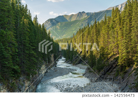 Summer scenery of the river and coniferous forest in Stewart Valley, Banff National Park. Banff, Alberta, Canada. Summer scenery of the river and coniferous forest in Stewart Valley, Banff National Park. Banff, Alberta, Canada. 142556473