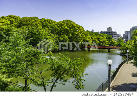 大阪府大阪市天王寺、天王寺公園、河底池、和氣橋 142557494