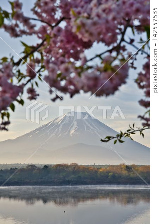 莊司湖的秋景 / 白雪皚皚的富士山與秋葉 莊司湖的秋景 / 白雪皚皚的富士山與秋葉 142557535