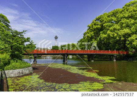 Osaka, Tennoji, Tennoji Park, Kawazoko Pond, Wake Bridge and Tsutenkaku Tower, Osaka City, Osaka Prefecture Osaka, Tennoji, Tennoji Park, Kawazoko Pond, Wake Bridge and Tsutenkaku Tower, Osaka City, Osaka Prefecture 142557537