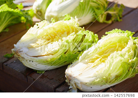 新鮮採摘的大白菜 新鮮採摘的大白菜 142557698