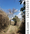 Winter country road 142558059