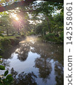 Tree reflected on the surface of the water 142558061