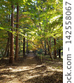 walk in the autumn park 142558067