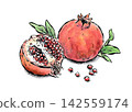 An illustration of a pomegranate drawn with a brush pen and watercolors in the style of a picture postcard. 142559174