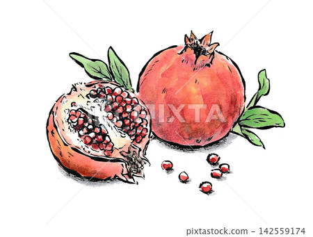 An illustration of a pomegranate drawn with a brush pen and watercolors in the style of a picture postcard. 142559174