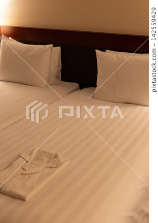 Hotel twin room Hotel twin room 142559429