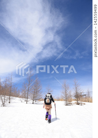 At the end of March, Mt. Akamenyama in Fukushima Prefecture was still covered in snow, but the new leaves on the trees and the blue sky gave a sense of spring. 142559499