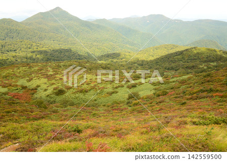 福島縣赤倉山:九月,會津的柔和山巒逐漸被秋天的色彩所覆蓋。 福島縣赤倉山:九月,會津的柔和山巒逐漸被秋天的色彩所覆蓋。 142559500