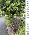 A wooden bench in the rain-soaked greenery 142559838
