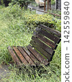 A wooden bench along a walking path surrounded by greenery on a rainy day. 142559840