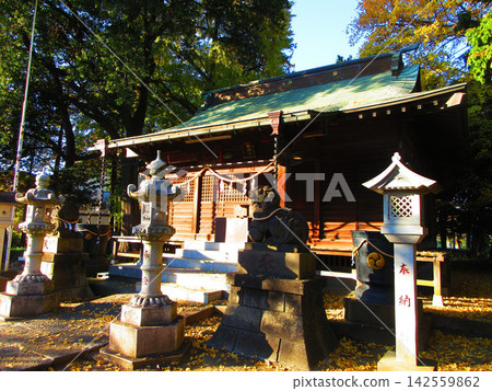 埼玉縣河口市八幡宮的八幡神社景色。 埼玉縣河口市八幡宮的八幡神社景色。 142559862