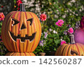 Landscape with Halloween pumpkins 142560287