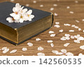 Leisure and reading in spring 142560535