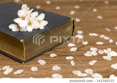 Leisure and reading in spring Leisure and reading in spring 142560535
