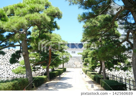 一排松樹和一座城堡大門,展現了日式庭園的景象。 一排松樹和一座城堡大門,展現了日式庭園的景象。 142560689